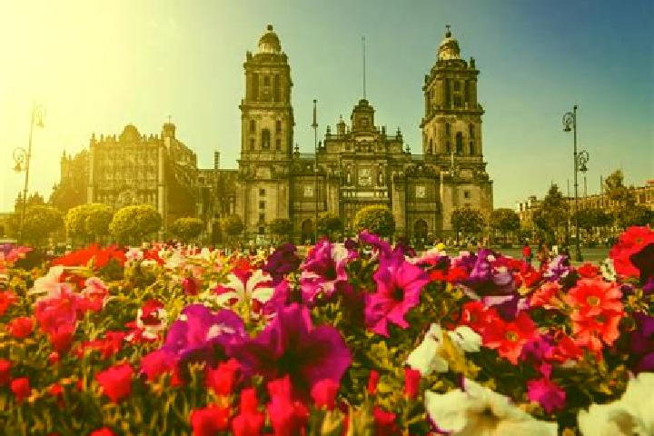 Hannah, 32 — Escort in Ciudad Maya, Mexico