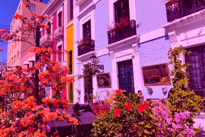 Hannah, 32 — Escort in San Juan Viejo, Mexico