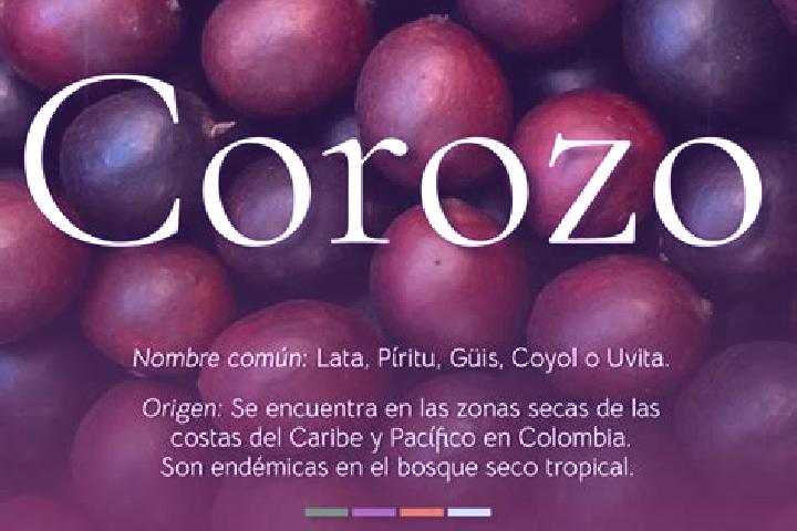 Hannah, 33 — Escort in El Corozo, Venezuela