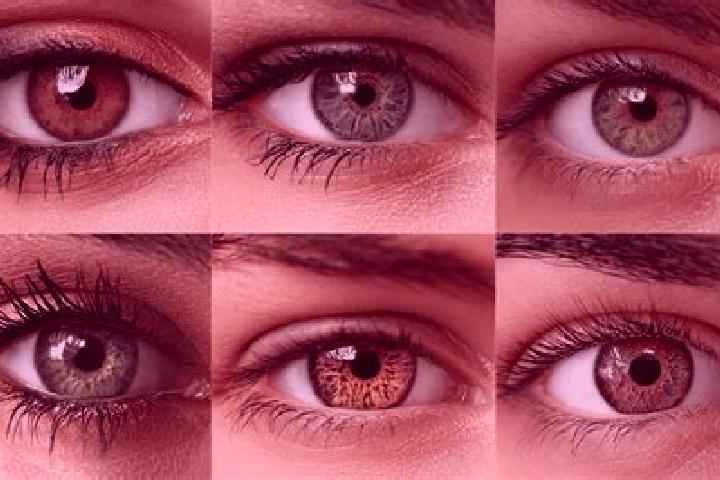 Hannah, 34, a red hazel-eyed middle eastern companion based in Sao Lourenco da Serra. Offering Roleplay, BDSM, A-Level, Party Girl. Available for incall and ...
