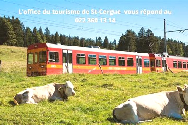 Hannah, 34 — Escort in Saint-Cergue, Switzerland