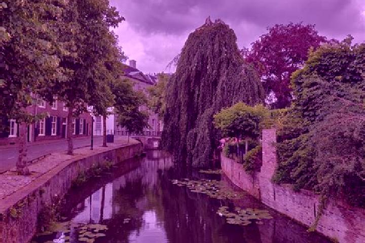 Hannah, 35 — Escort in Amersfoort, Netherlands