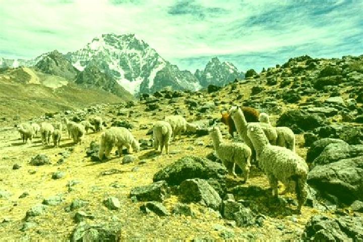 Hannah, 35 — Escort in Lares, Peru