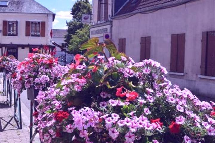 Hannah, 35 — Escort in Les Essarts, France