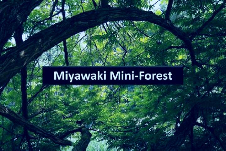 Hannah, 36 — Escort in Miyawaka, Japan