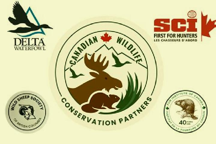 Hannah, 37 — Escort in Conservation, Canada