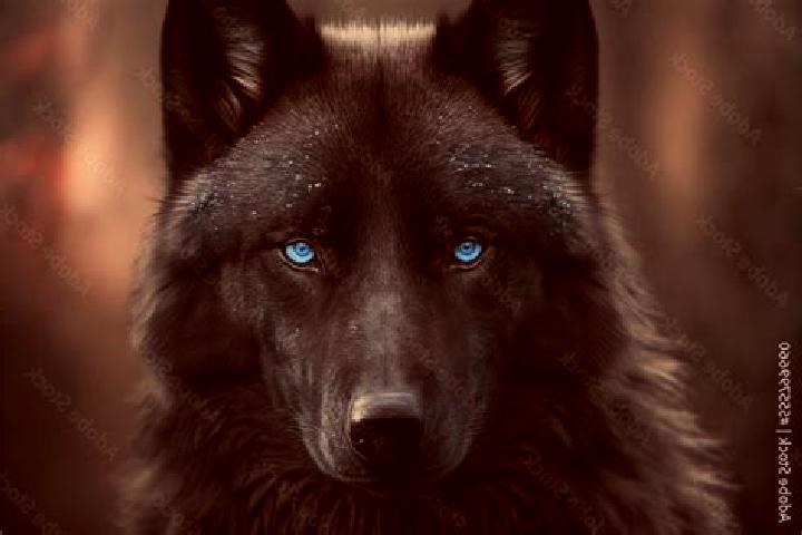 Hannah, 38, a black blue-eyed caucasian companion based in Rivecourt. Offering Couples, Domination, OWO, A-Level, CIM. Available for incall and outcall, day ...