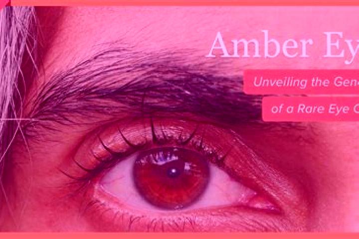Hannah, 38, a red amber-eyed mediterranean companion based in El Chaparro. Offering Prostate Massage, Domination. Available for incall and outcall, day and e...