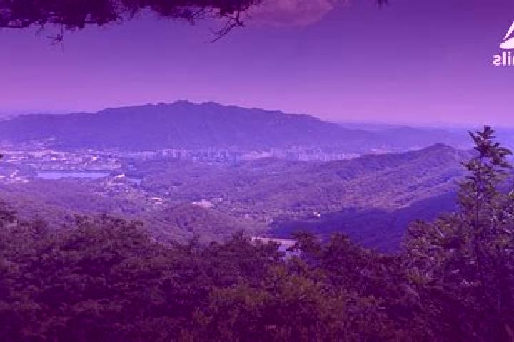 Hannah, 38 — Escort in Uiwang, South Korea
