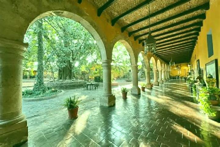 Hannah, 39, a blonde grey-eyed caribbean companion based in Hacienda de la Bolsa. Offering A-Level, Overnight, Domination, OWO. Available for incall and outc...