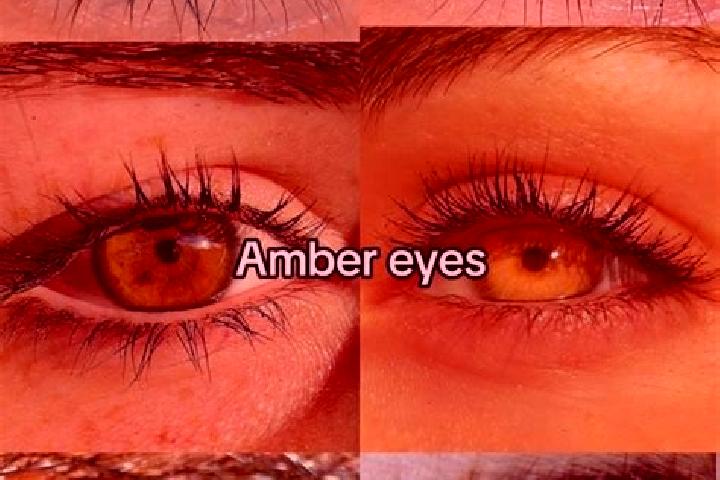 Hannah, 39, a chestnut amber-eyed european companion based in Sivni. Offering 69, GFE, Roleplay. Available for incall and outcall, overnight bookings available.