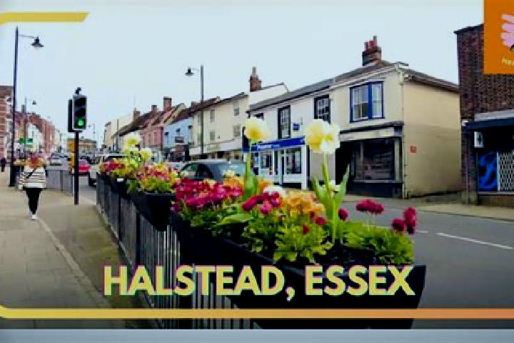 Hannah, 39 — Escort in Halstead, United States
