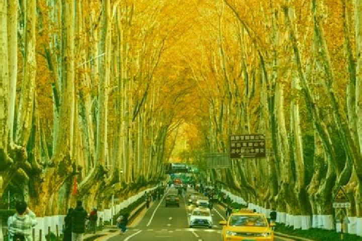 Hannah, 39 — Escort in Linyuan, China