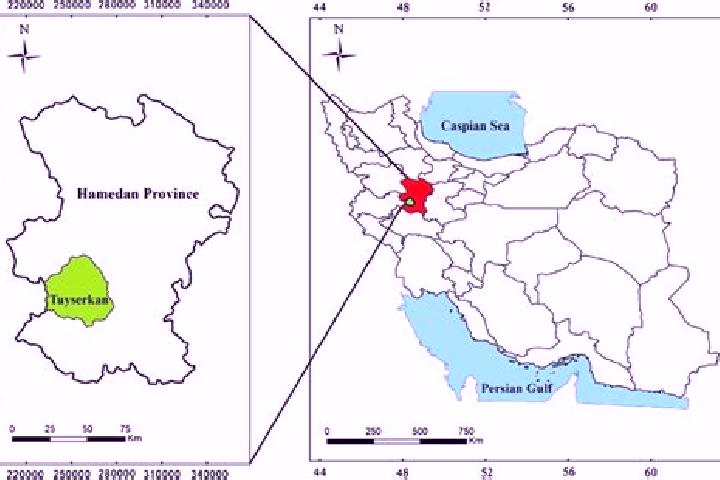 Hannah, 39 — Escort in Tuyserkan, Iran