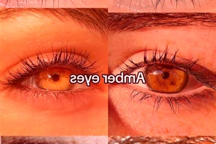 Harper, 20, a chestnut amber-eyed european companion based in Ersfeld. Offering 69, Tantra, Overnight. Available for incall and outcall, overnight bookings a...
