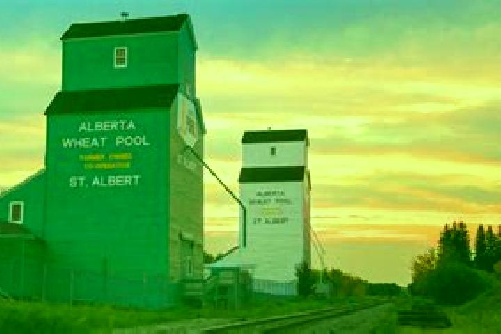 Harper, 20 — Escort in Alberta Avenue, Canada