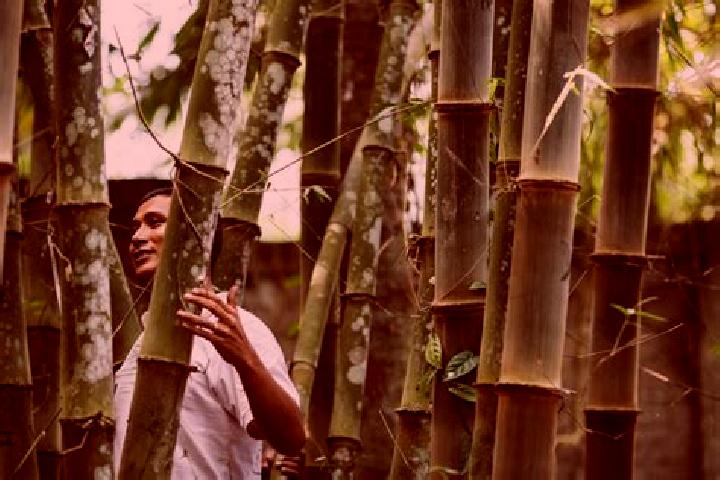 Harper, 20 — Escort in Bamboo Flat, India