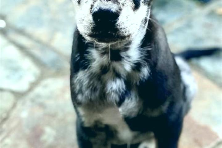 Harper, 20 — Escort in Catahoula, United States