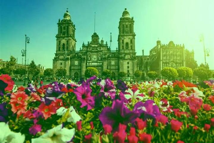 Harper, 20 — Escort in Ciudad de Armeria, Mexico