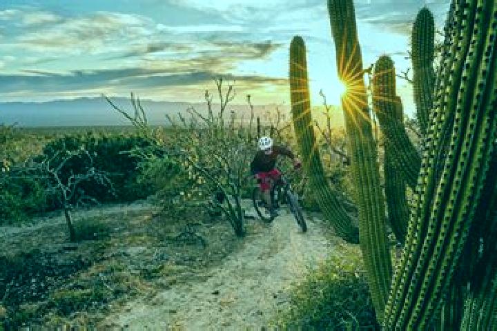 Harper, 20 — Escort in Jesus Carranza (Rancho de Jesus), Mexico