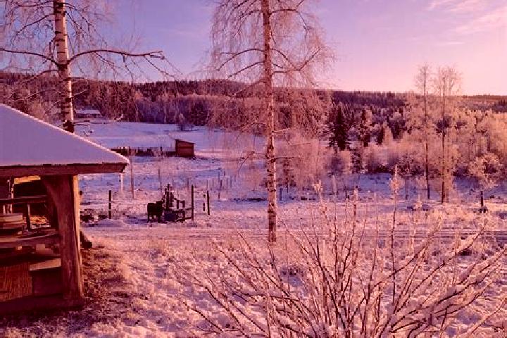 Harper, 20 — Escort in Kemijaervi, Finland