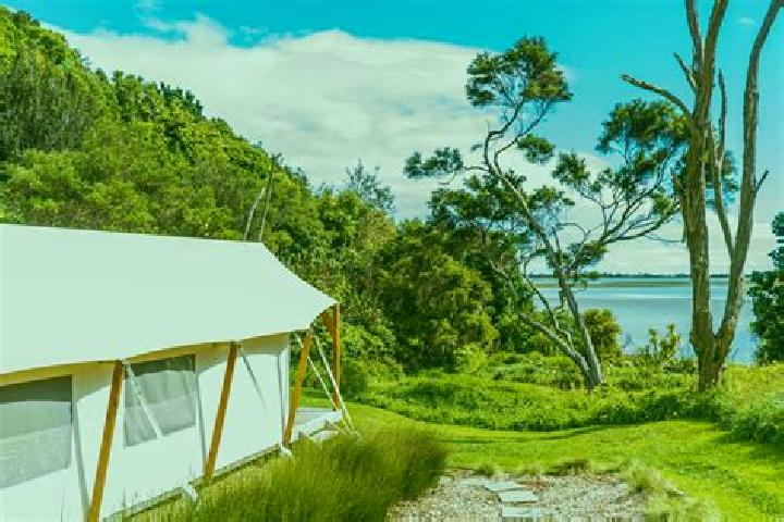 Harper, 20 — Escort in Ohope Beach, New Zealand