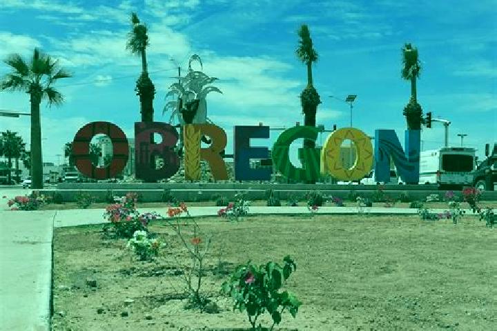 Harper, 20 — Escort in Progreso de Alvaro Obregon, Mexico