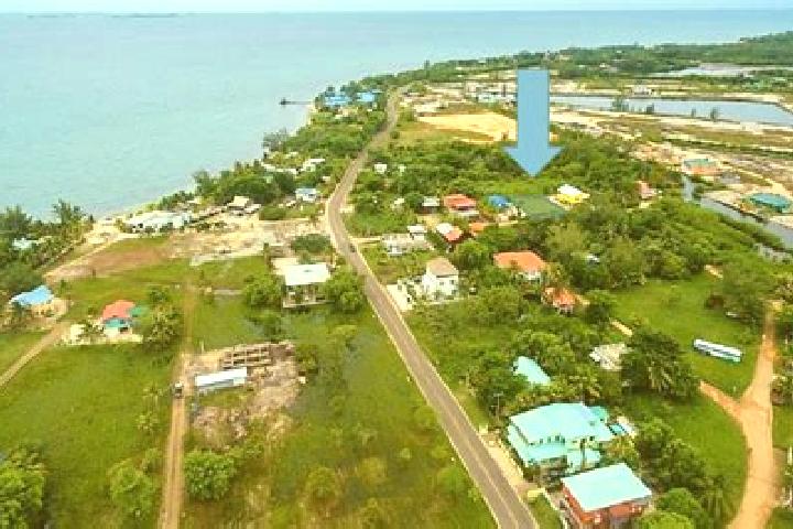 Harper, 20 — Escort in Trio Village, Belize