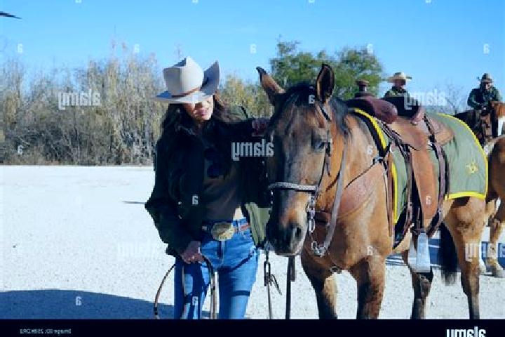 Harper, 21 — Escort in El Rio, United States