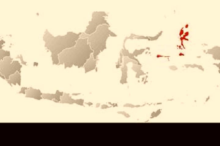 Harper, 21 — Escort in Parakan, Indonesia
