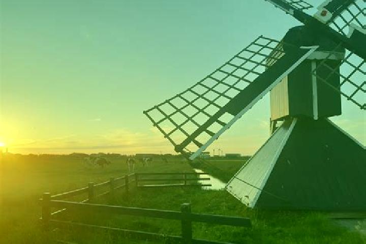 Harper, 21 — Escort in Zuidschermer, Netherlands