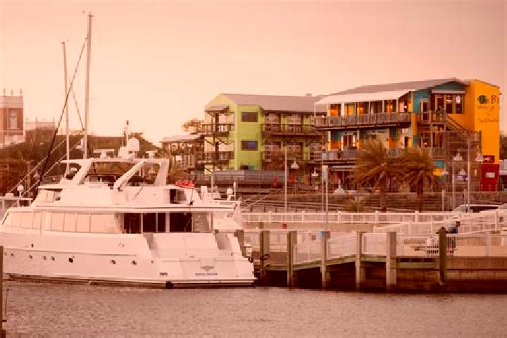 Harper, 22 — Escort in Bay Saint Louis, United States