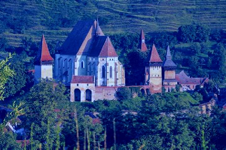 Harper, 22 — Escort in Biertan, Romania
