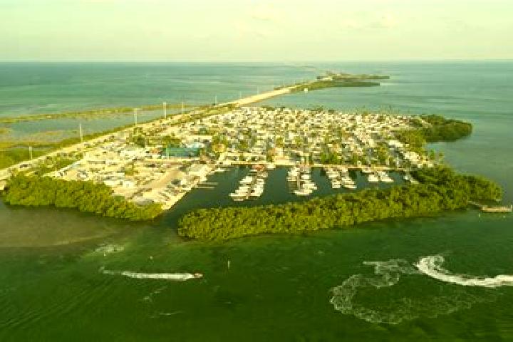 Harper, 22 — Escort in Big Pine Key, United States