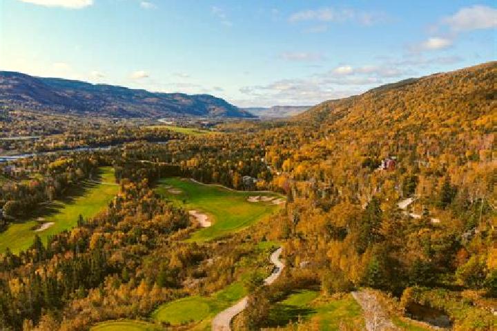 Harper, 22 — Escort in Edenbridge-Humber Valley, Canada