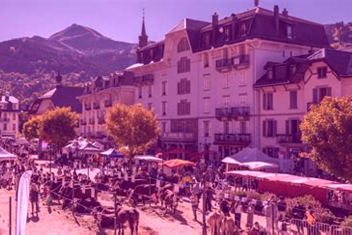 Harper, 22 — Escort in Saint-Servais, France