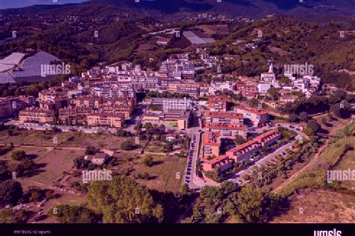Harper, 22 — Escort in Vall Alta, Italy