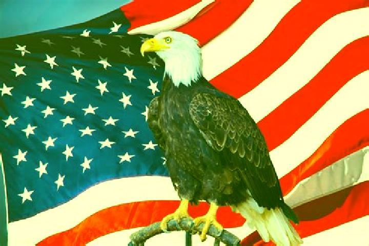 Harper, 23 — Escort in Black Eagle, United States