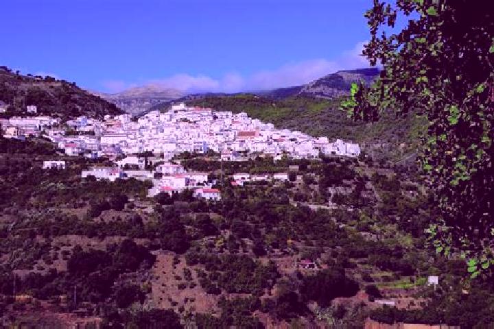Harper, 23 — Escort in Canillas de Abajo, Spain
