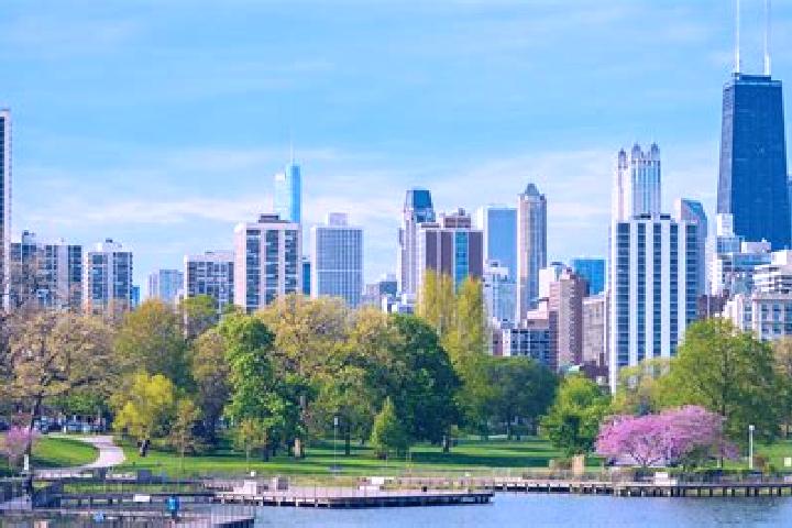 Harper, 23 — Escort in Lincoln Park, United States