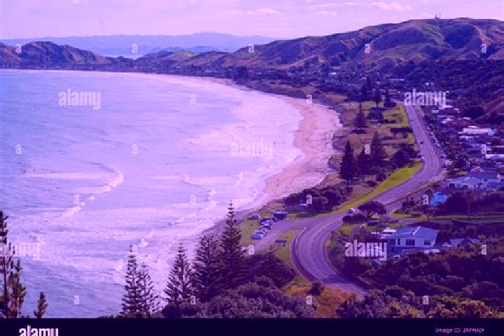 Harper, 23 — Escort in Wainui, New Zealand