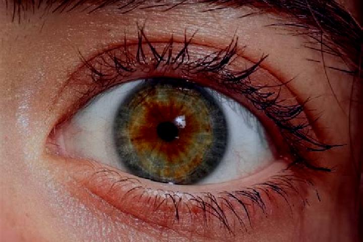 Harper, 24, a red hazel-eyed slavic companion based in Zutkerque. Offering OWO, Massage, Dinner Date. Available for incall and outcall, overnight bookings av...