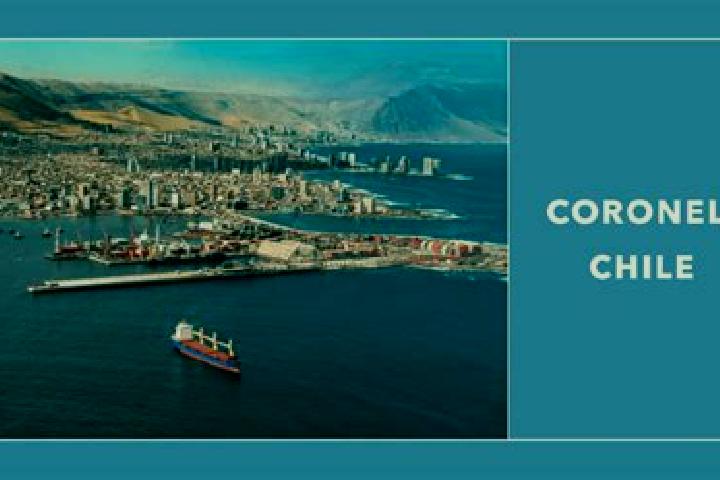 Harper, 24 — Escort in Coronel, Chile