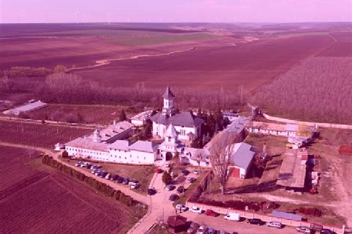 Harper, 24 — Escort in Cudalbi, Romania