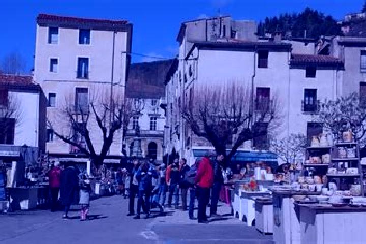 Harper, 24 — Escort in Le Vigan, France