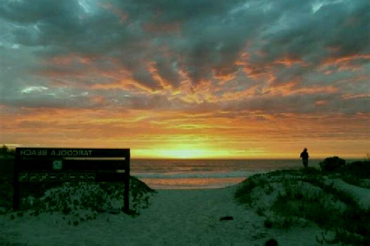 Harper, 24 — Escort in Tarcoola Beach, Australia