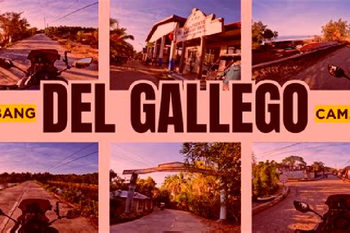 Harper, 25 — Escort in Del Gallego, Philippines