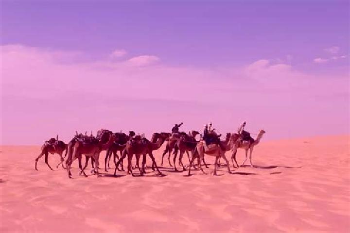 Harper, 25 — Escort in Lere, Chad