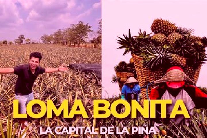 Harper, 25 — Escort in Loma Bonita, Mexico