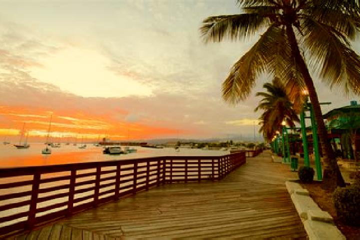 Harper, 25 — Escort in Puente Caporal (La Guancha), Mexico